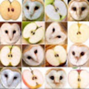 Meet your Posher, Bayley